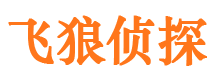 临泽市侦探调查公司